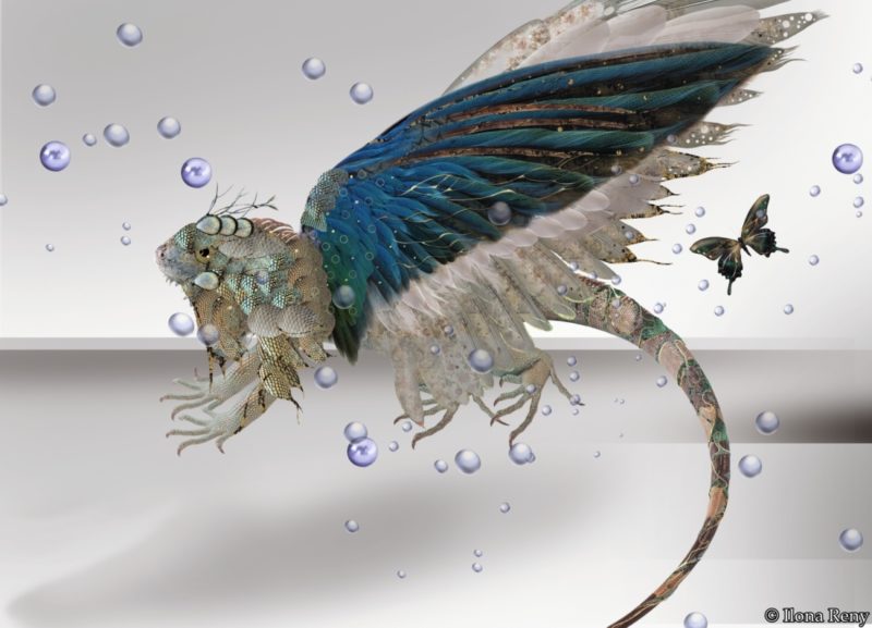 Postkarte “Drachen V” Dragon 5 by Ilona Reny. This dragon has large blue/green wings